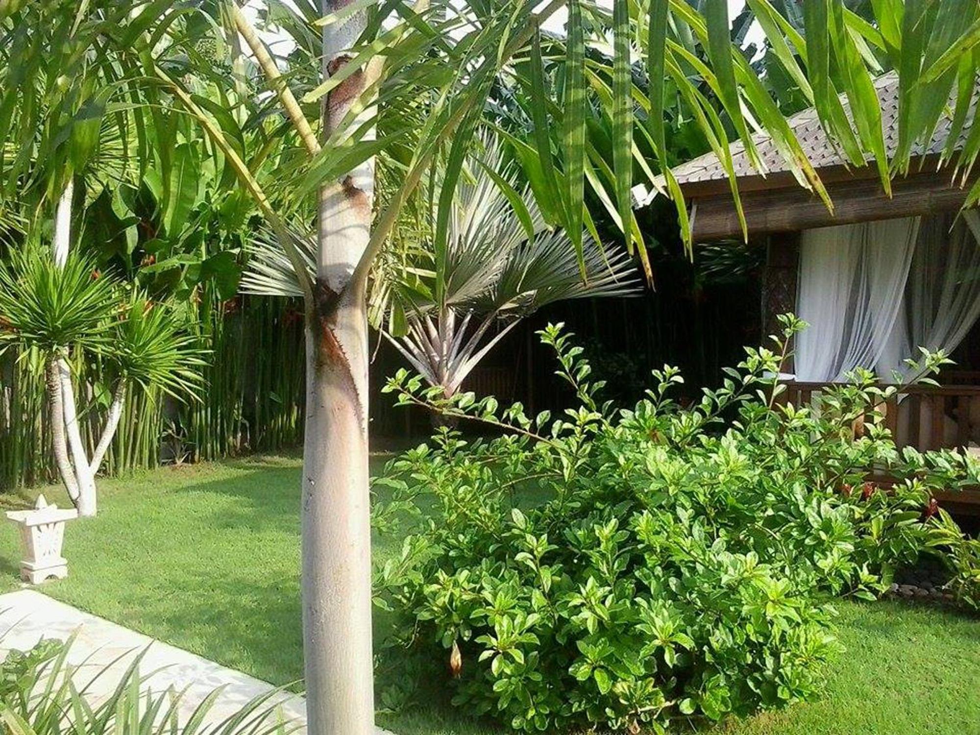 Villa Gusmania Candidasa Zimmer foto